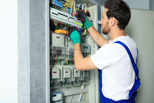 Best Electric Panel Repair  in Vian, OK